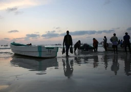 China opens duty-free market to Somali seafood exports
