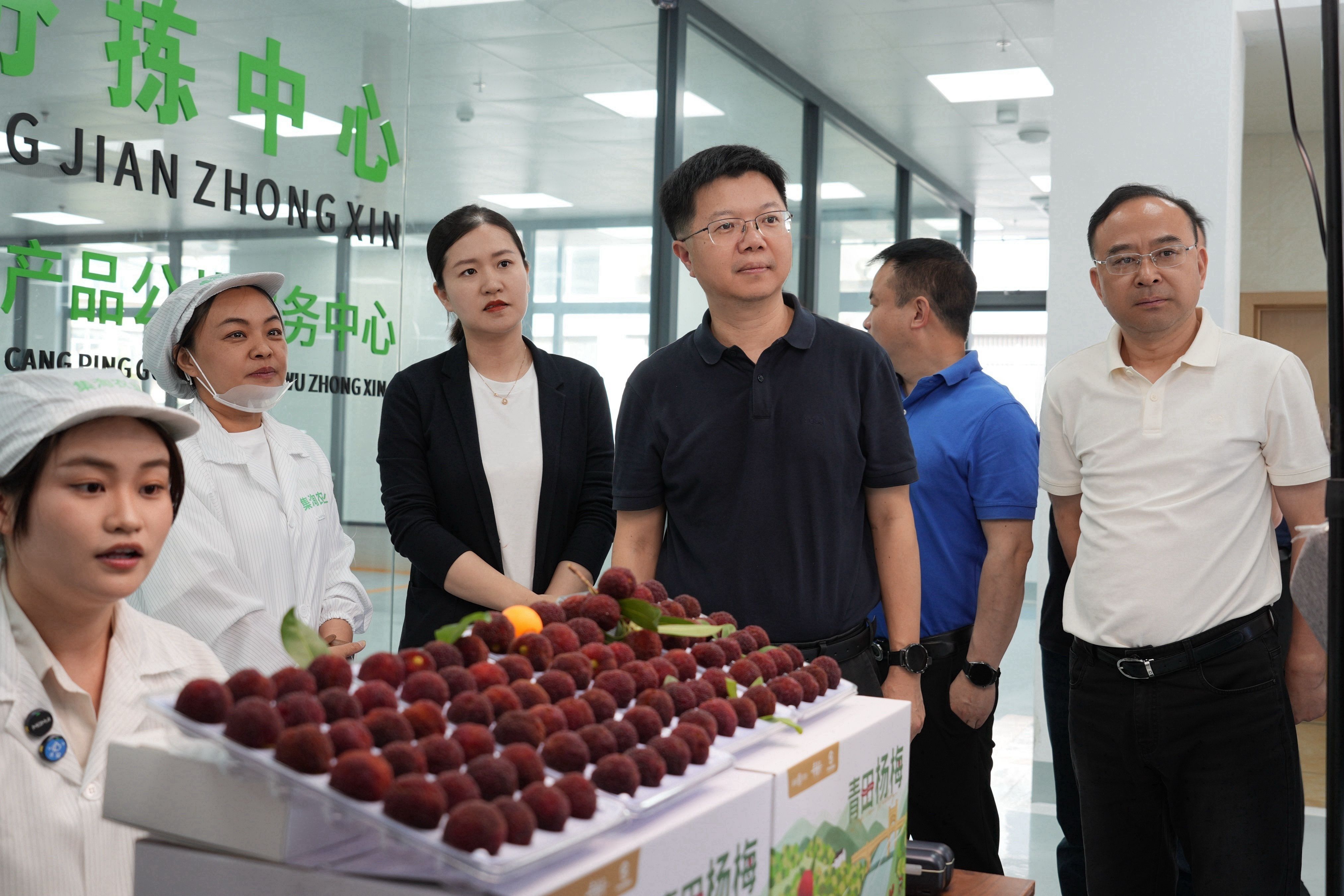 浙江青田：爱护青田杨梅品牌 全力打造品质杨梅放心地