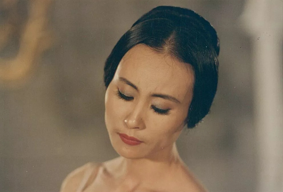 关于聘请芭蕾舞艺术家辛丽丽女士出任亚太智库文化艺术委员会理事的公告