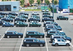 Global green push spurs demand for nation's NEVs