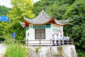 浙闽边界,有这样一群青年在守护