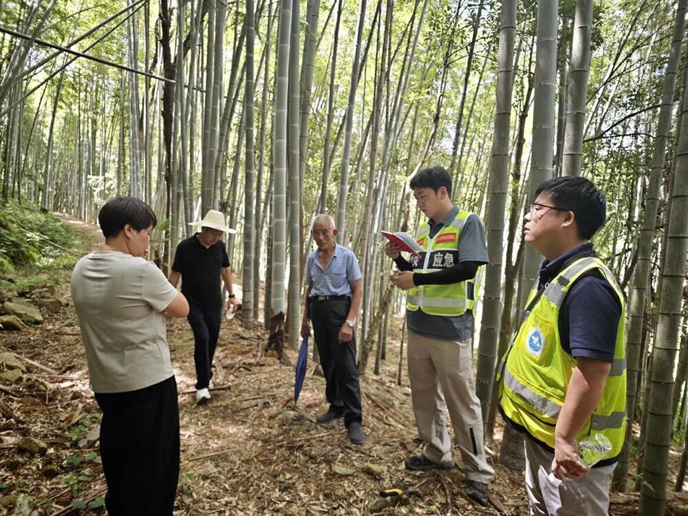迎战台风 “巴威” 浙江庆元县全域联动筑牢防汛防台安全防线