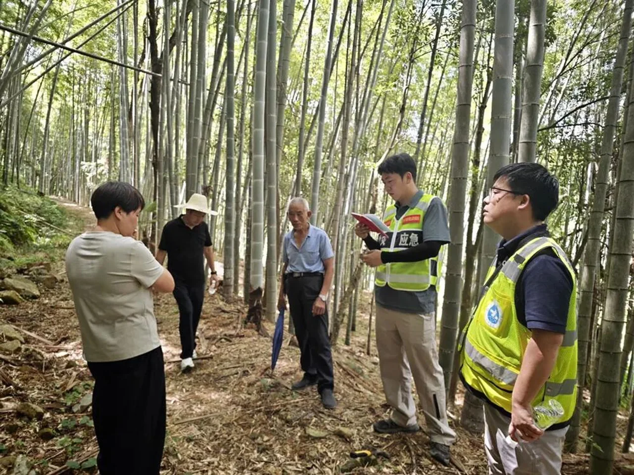 迎战台风 “巴威” 浙江庆元县全域联动筑牢防汛防台安全防线