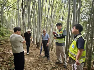 迎战台风 “巴威” 浙江庆元县全域联动筑牢防汛防台安全防线