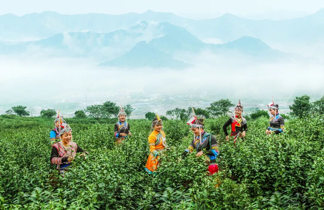 浙江丽水：从大山唱向世界 畲歌激活古村新活力